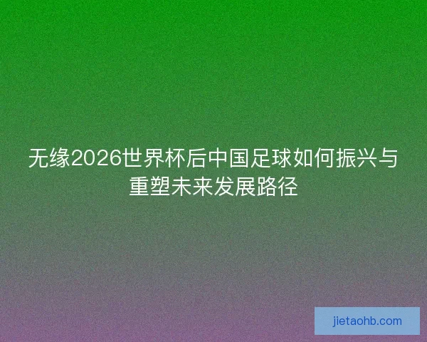 无缘2026世界杯后中国足球如何振兴与重塑未来发展路径